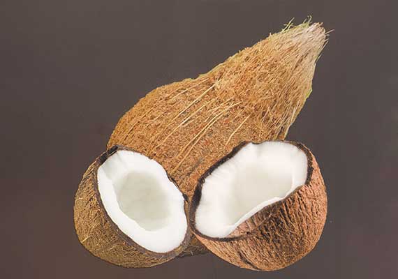 coconut
